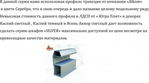 Шкаф-купе 1700 серии SILVER S4+S3Z+B2+PL1 (2 ящика+1 штанга) профиль «Серебро» в Челябинске - cheliabinsk.ok-mebel.com | фото 6