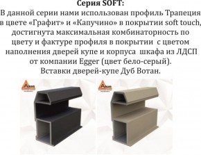 Шкаф-купе 1800 серии SOFT D1+D3+B2+PL1 (2 ящика+1штанга) профиль «Графит» в Челябинске - cheliabinsk.ok-mebel.com | фото 11