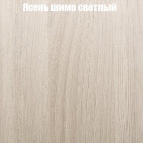 Шкаф-купе «ТАНДЕМ» 2-х дверный в алюминиевом профиле (Дверь К+К) 1200/h2200 в Челябинске - cheliabinsk.ok-mebel.com | фото 6