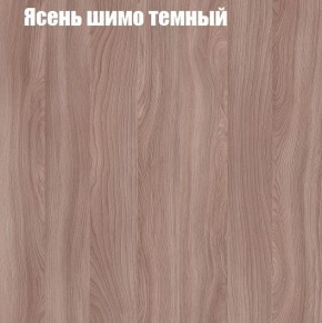 Шкаф-купе «ТАНДЕМ» 2-х дверный в алюминиевом профиле (Дверь К+К) 1800/h2200 в Челябинске - cheliabinsk.ok-mebel.com | фото 7