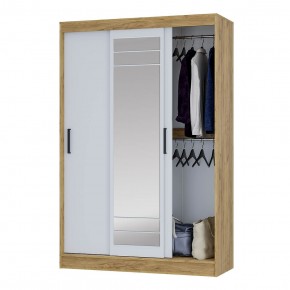 Шкаф-купе Тео ШКК-02 (крафт/белый) в Челябинске - cheliabinsk.ok-mebel.com | фото 3