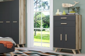 Шкаф низкий Вега Скандинавия в Челябинске - cheliabinsk.ok-mebel.com | фото 8