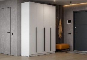 Шкаф платяной Бирма в Челябинске - cheliabinsk.ok-mebel.com | фото 5