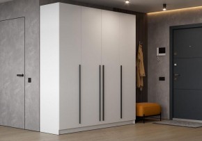 Шкаф платяной Бирма в Челябинске - cheliabinsk.ok-mebel.com | фото 4