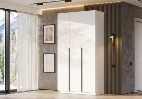 Шкаф платяной Даиго в Челябинске - cheliabinsk.ok-mebel.com | фото 3