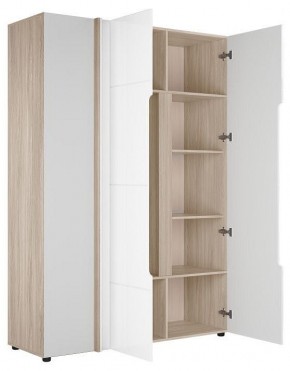 Шкаф платяной Данк в Челябинске - cheliabinsk.ok-mebel.com | фото 2