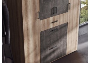 Шкаф платяной Паркинс в Челябинске - cheliabinsk.ok-mebel.com | фото 3