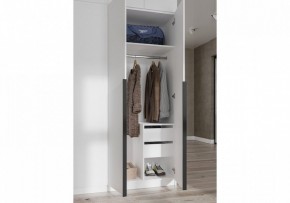 Шкаф платяной Широн в Челябинске - cheliabinsk.ok-mebel.com | фото 3