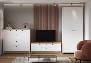 Шкаф платяной Теодора в Челябинске - cheliabinsk.ok-mebel.com | фото 4