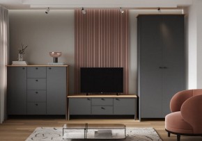 Шкаф платяной Теодора в Челябинске - cheliabinsk.ok-mebel.com | фото 3