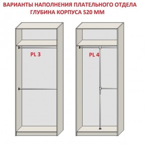 Шкаф распашной серия «ЗЕВС» (PL3/С1/PL2) в Челябинске - cheliabinsk.ok-mebel.com | фото 10