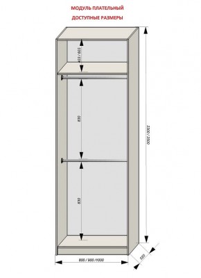 Шкаф распашной серия «ЗЕВС» (PL3/С1/PL2) в Челябинске - cheliabinsk.ok-mebel.com | фото 12