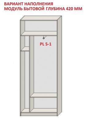 Шкаф распашной серия «ЗЕВС» (PL3/С1/PL2) в Челябинске - cheliabinsk.ok-mebel.com | фото 4