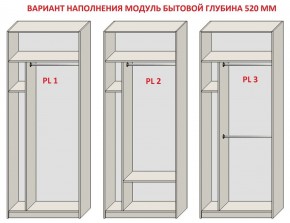 Шкаф распашной серия «ЗЕВС» (PL3/С1/PL2) в Челябинске - cheliabinsk.ok-mebel.com | фото 5