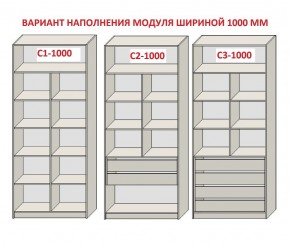 Шкаф распашной серия «ЗЕВС» (PL3/С1/PL2) в Челябинске - cheliabinsk.ok-mebel.com | фото 7