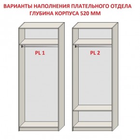 Шкаф распашной серия «ЗЕВС» (PL3/С1/PL2) в Челябинске - cheliabinsk.ok-mebel.com | фото 9