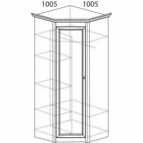 Шкаф угловой №662 "Флоренция" Фасад глухой (угол 1005*1005) Дуб оксфорд в Челябинске - cheliabinsk.ok-mebel.com | фото 3