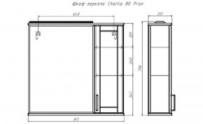 Шкаф-зеркало Charlie 80 правый Домино (DCh2520HZ) в Челябинске - cheliabinsk.ok-mebel.com | фото 9