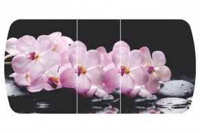 Стол Бостон-3 (Розовая Орхидея) 1100/1420*700, опора Брифинг в Челябинске - cheliabinsk.ok-mebel.com | фото 2