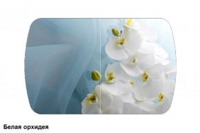 Стол Бостон 900*600 (опоры Брифинг) Стекло/фотопечать Белая Орхидея в Челябинске - cheliabinsk.ok-mebel.com | фото