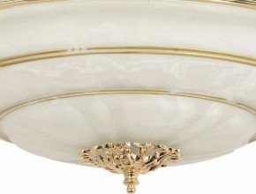 Светильник на штанге Arti Lampadari Pavia Pavia E 1.13.P40 G в Челябинске - cheliabinsk.ok-mebel.com | фото 3
