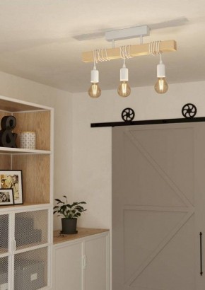 Светильник на штанге Eglo TOWNSHEND 44082 в Челябинске - cheliabinsk.ok-mebel.com | фото 2