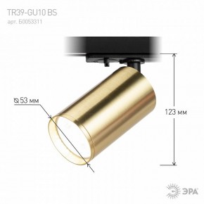 Светильник на штанге Эра  TR39-GU10 BS в Челябинске - cheliabinsk.ok-mebel.com | фото 6
