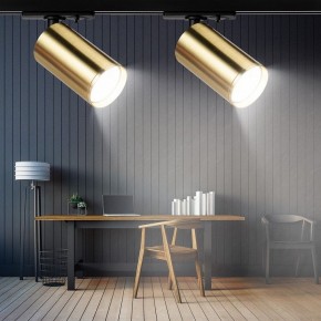 Светильник на штанге Эра  TR39-GU10 BS в Челябинске - cheliabinsk.ok-mebel.com | фото 7