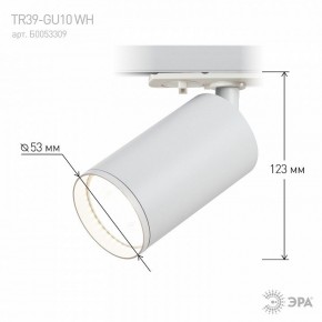 Светильник на штанге Эра  TR39-GU10 WH в Челябинске - cheliabinsk.ok-mebel.com | фото 7