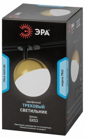 Светильник на штанге Эра  TR42-GX53 BS в Челябинске - cheliabinsk.ok-mebel.com | фото 6