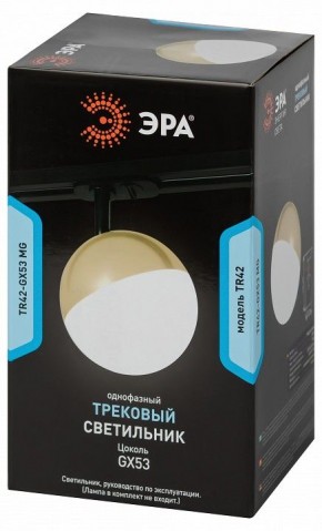 Светильник на штанге Эра  TR42-GX53 MG в Челябинске - cheliabinsk.ok-mebel.com | фото 6