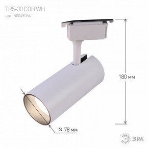 Светильник на штанге Эра  TR5-30 COB WH в Челябинске - cheliabinsk.ok-mebel.com | фото 6