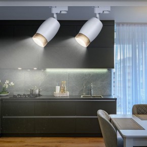 Светильник на штанге Эра  TR51 - GU10 WH в Челябинске - cheliabinsk.ok-mebel.com | фото 3