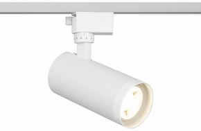 Светильник на штанге Эра  TR59 - 2040 WH в Челябинске - cheliabinsk.ok-mebel.com | фото