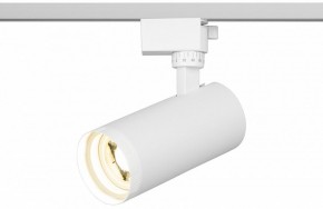 Светильник на штанге Эра  TR59 - 2040 WH в Челябинске - cheliabinsk.ok-mebel.com | фото 5