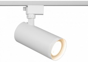 Светильник на штанге Эра  TR59 - 3030 WH в Челябинске - cheliabinsk.ok-mebel.com | фото