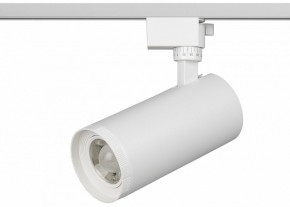Светильник на штанге Эра  TR59 - 3030 WH в Челябинске - cheliabinsk.ok-mebel.com | фото 2