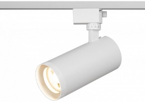 Светильник на штанге Эра  TR59 - 3030 WH в Челябинске - cheliabinsk.ok-mebel.com | фото 5