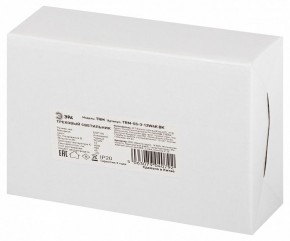 Светильник на штанге Эра  TRM-S5-3-12W4K-BK в Челябинске - cheliabinsk.ok-mebel.com | фото 8