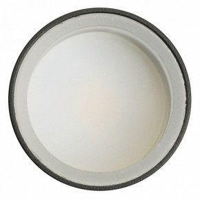 Светильник на штанге Feron ML1001 51371 в Челябинске - cheliabinsk.ok-mebel.com | фото 4