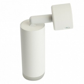 Светильник на штанге Feron ML1021 51390 в Челябинске - cheliabinsk.ok-mebel.com | фото 3