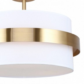 Светильник на штанге Freya Bride FR5367CL-03BS в Челябинске - cheliabinsk.ok-mebel.com | фото 3