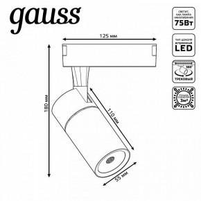 Светильник на штанге Gauss Track Light TR059 в Челябинске - cheliabinsk.ok-mebel.com | фото 6