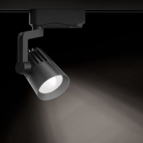 Светильник на штанге Gauss Track Light TR061 в Челябинске - cheliabinsk.ok-mebel.com | фото 2