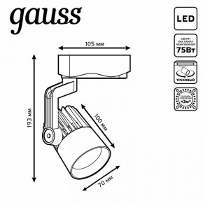 Светильник на штанге Gauss Track Light TR061 в Челябинске - cheliabinsk.ok-mebel.com | фото 6