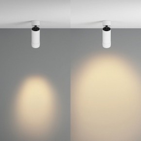 Светильник на штанге Maytoni Focus Zoom C055CL-L12W2.7K-Z-W в Челябинске - cheliabinsk.ok-mebel.com | фото 3