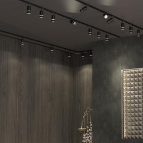 Светильник на штанге Novotech Elina 370777 в Челябинске - cheliabinsk.ok-mebel.com | фото 4