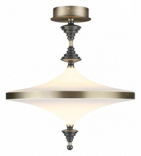 Светильник на штанге Odeon Light Ula 5404/43CL в Челябинске - cheliabinsk.ok-mebel.com | фото 2