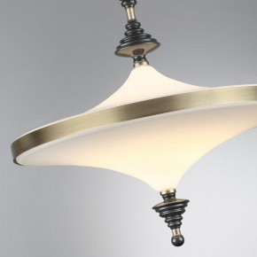 Светильник на штанге Odeon Light Ula 5404/43CL в Челябинске - cheliabinsk.ok-mebel.com | фото 6