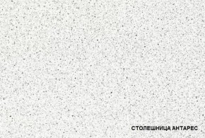 ТЕХНО-5 Кухонный гарнитур угловой 3,2*2,24 м в Челябинске - cheliabinsk.ok-mebel.com | фото 3